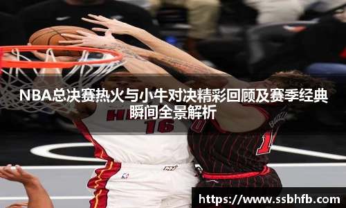 NBA总决赛热火与小牛对决精彩回顾及赛季经典瞬间全景解析